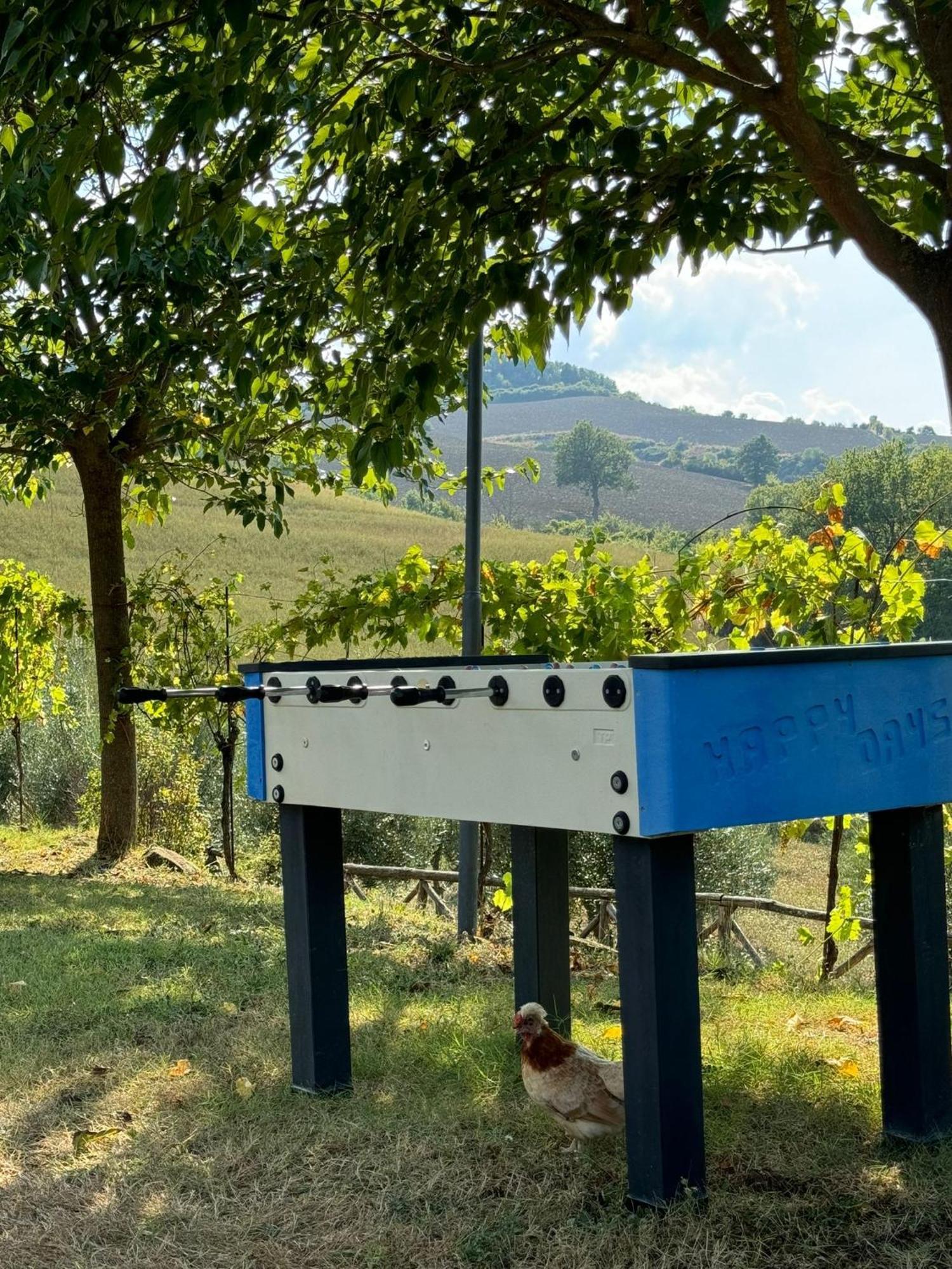 Agriturismo La Valle Dimenticata Urbania Eksteriør billede