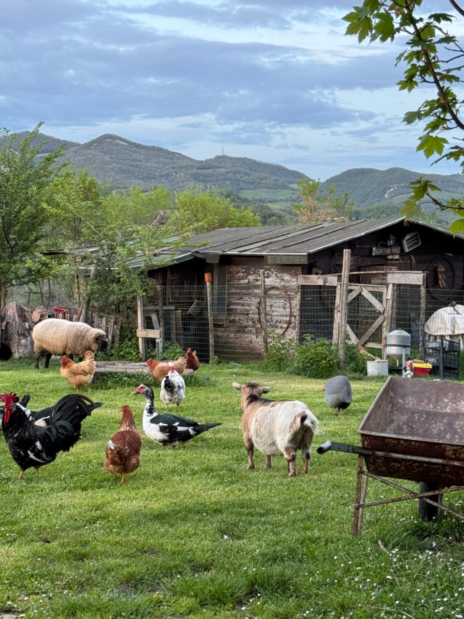 Agriturismo La Valle Dimenticata Urbania Eksteriør billede
